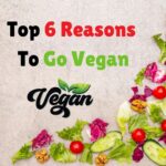 6 reasons to go vegan