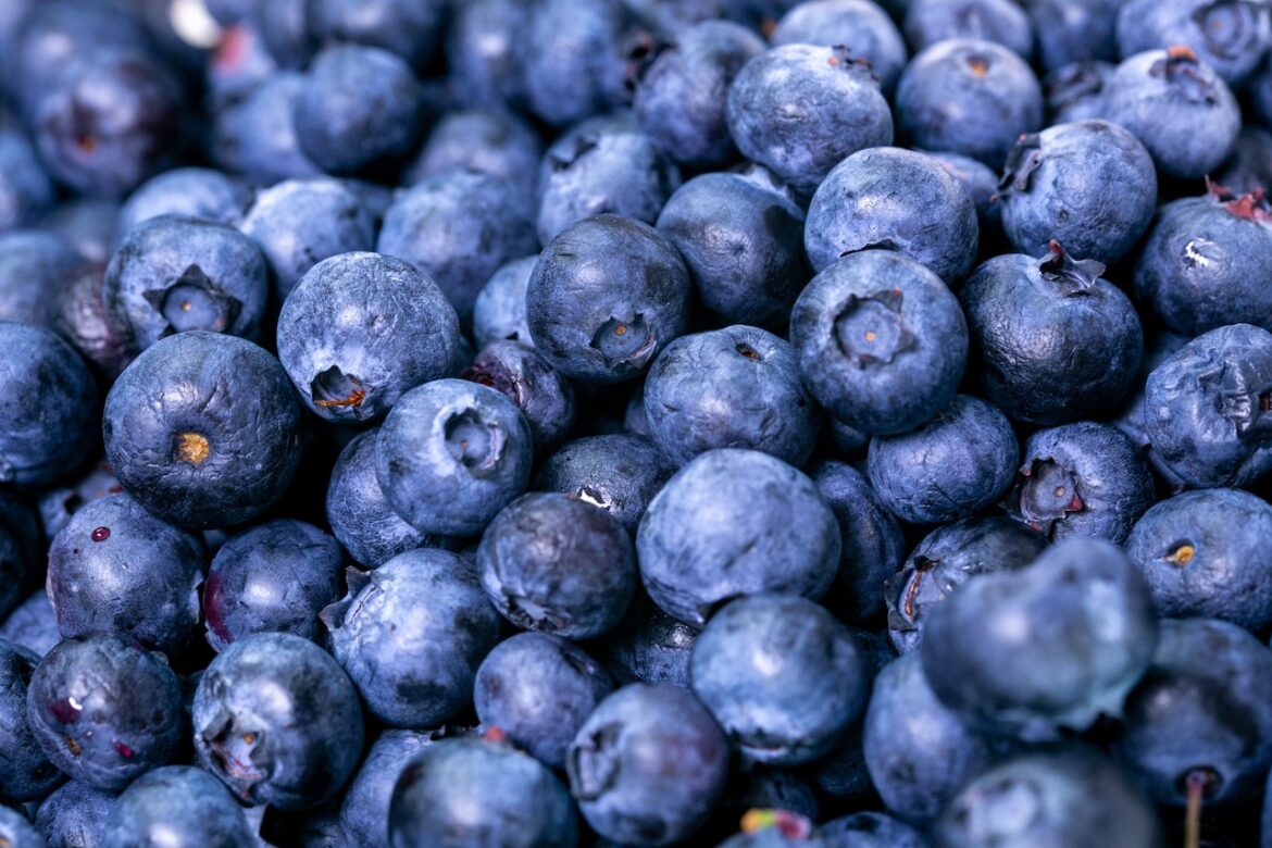 blueberries