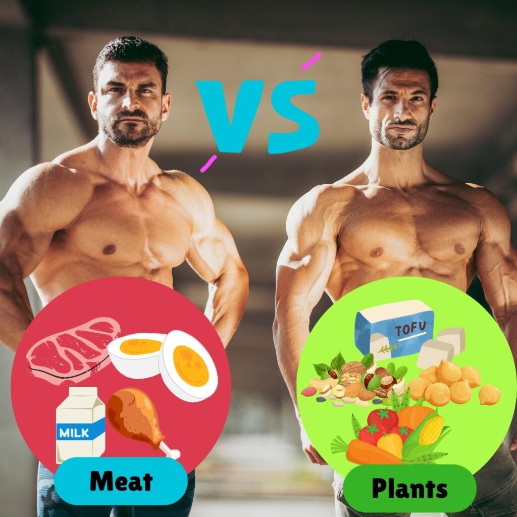 Vegan Bodybuilders vs. Meat-Eating Bodybuilders